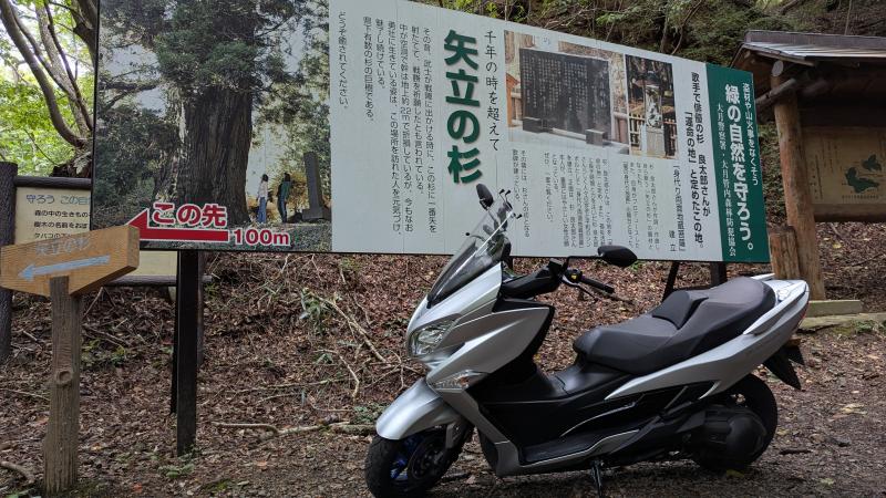 矢立の杉