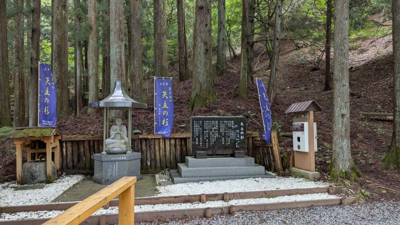 矢立の杉